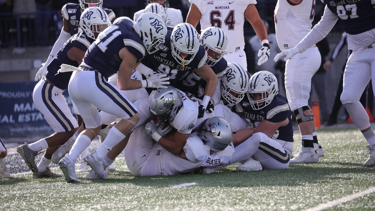 Brawl of the WIld 2019