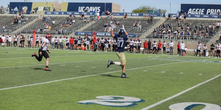 McCallan Castles, UC Davis