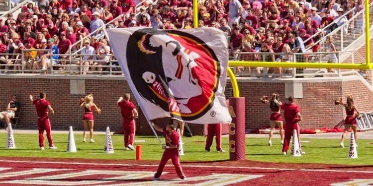 Florida State football flag