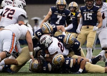 Montana State defense