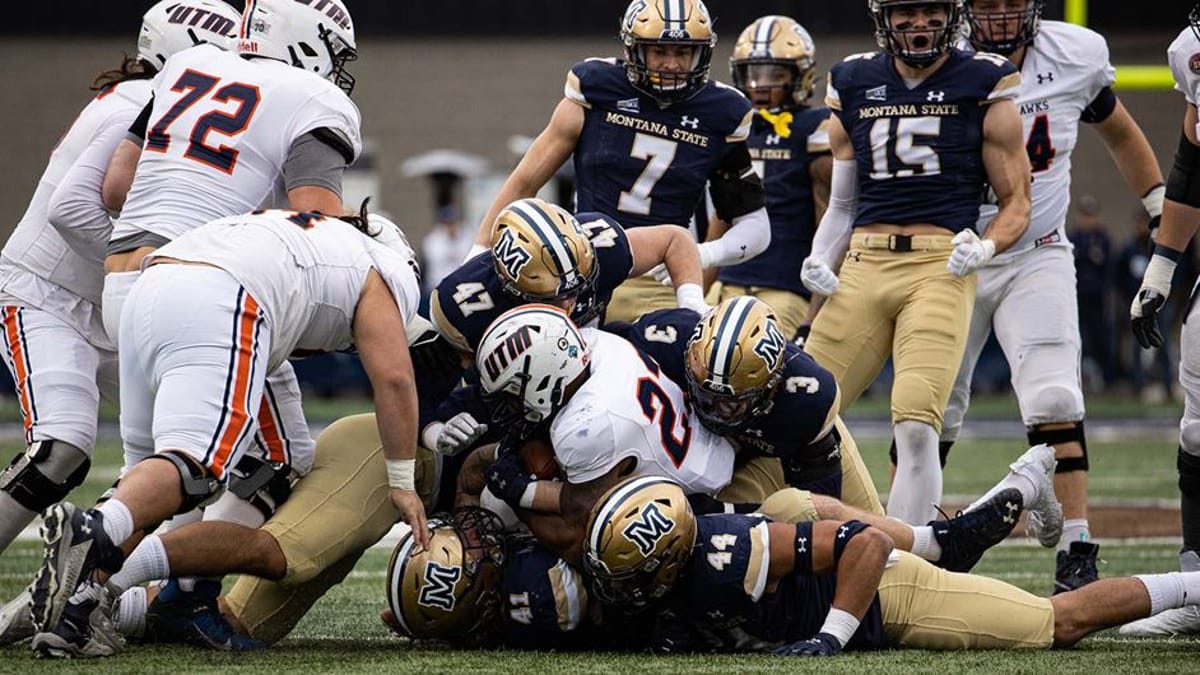 Montana State defense