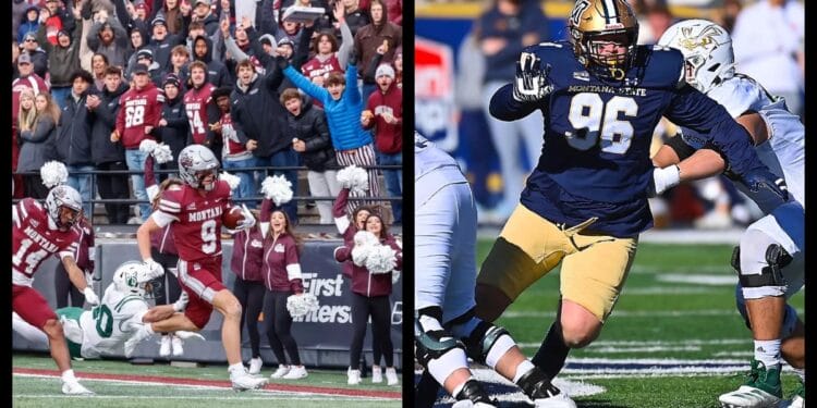 Montana-Montana State